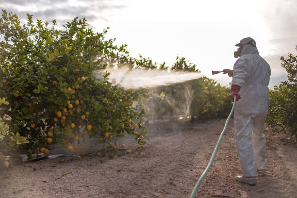 Best Residential Pest Control  in Geneva, AL