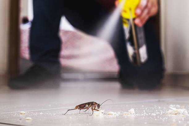 Best Cockroach Control Services  in Geneva, AL