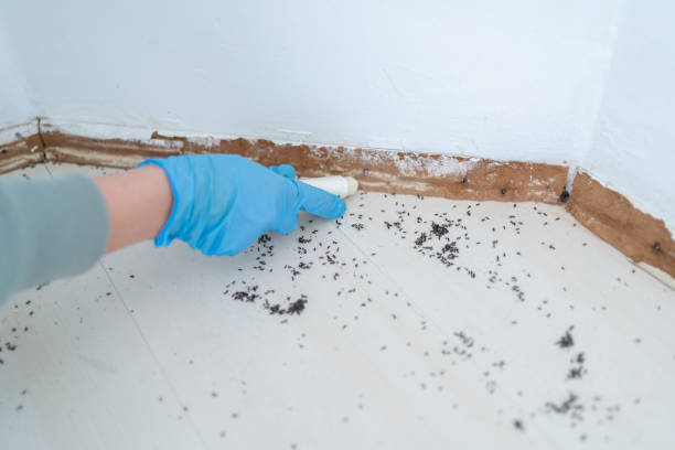 Best Residential Pest Control  in Geneva, AL