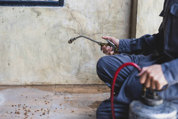 Best Pest Removal Services  in Geneva, AL
