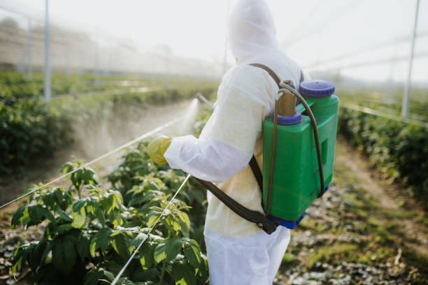 Best Mosquito Control Services  in Geneva, AL